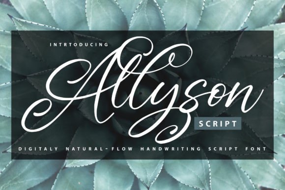 Allyson: A Dazzling Script for Modern Creators