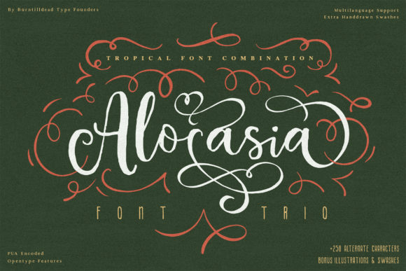 Alocasia: The Premium Font Trio for Modern Branding