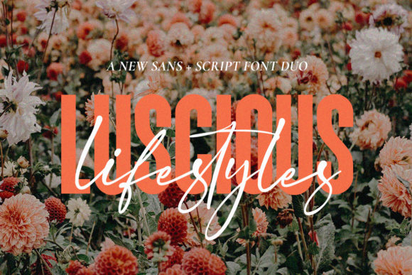 The Dynamic Duo: Pairing Script and Sans Serif